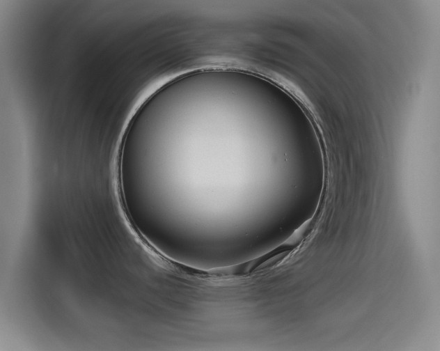 X0000114211440200910161238