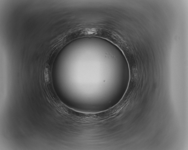 X0000114211442200910161238