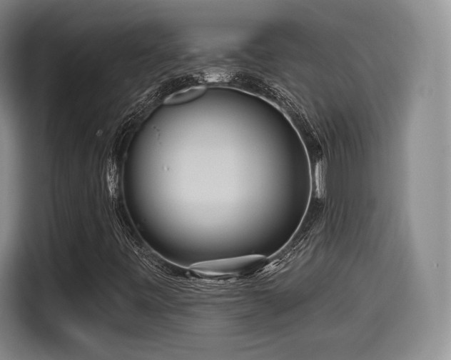 X0000114211443200910161238