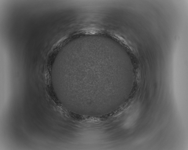 X0000114211446200910161238