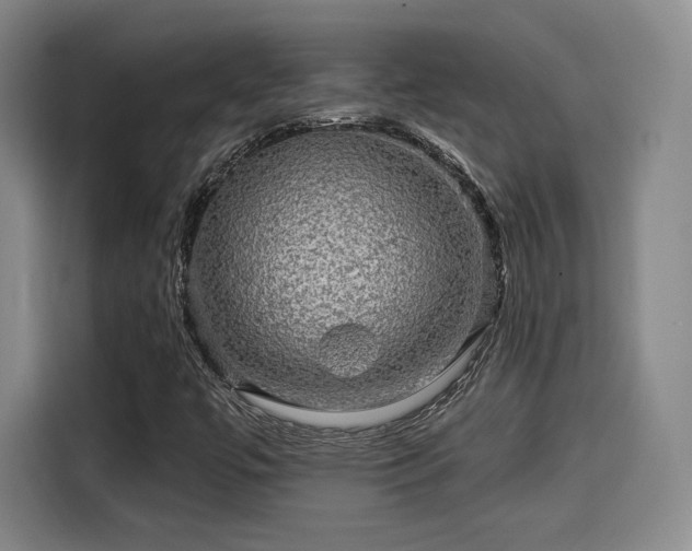 X0000114211447200910161238