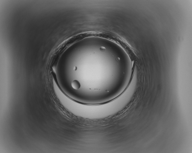 X0000114211448200910161238