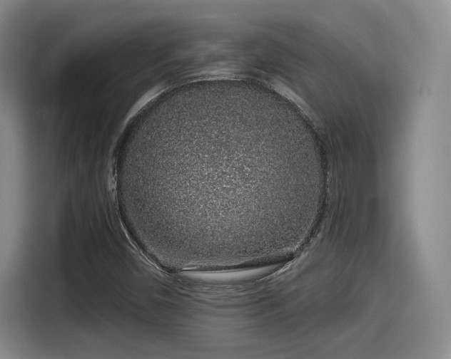 X0000114211450200910161238