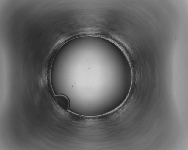 X0000114211451200910161238