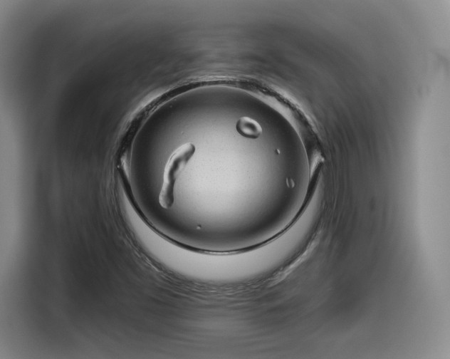 X0000114211453200910161238