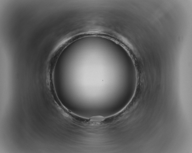 X0000114211456200910161238