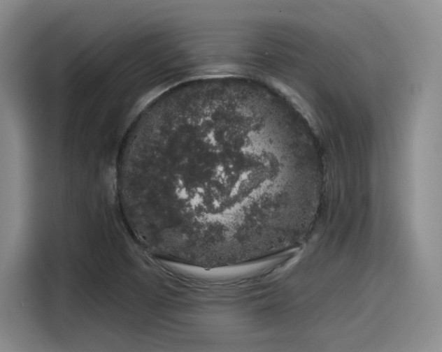 X0000114211457200910161238