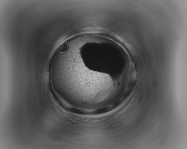 X0000114211459200910161238