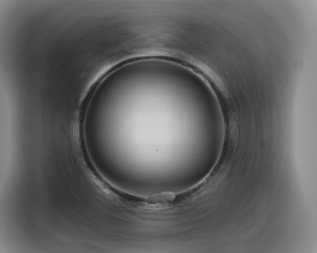 X0000114211460200910161238