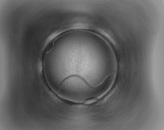 X0000114211461200910161238