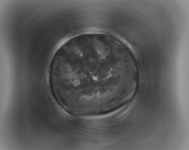 X0000114211463200910161238