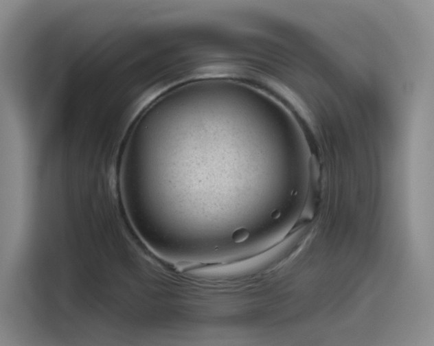 X0000114211465200910161238