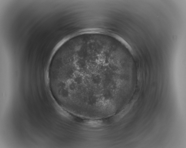 X0000114211466200910161238