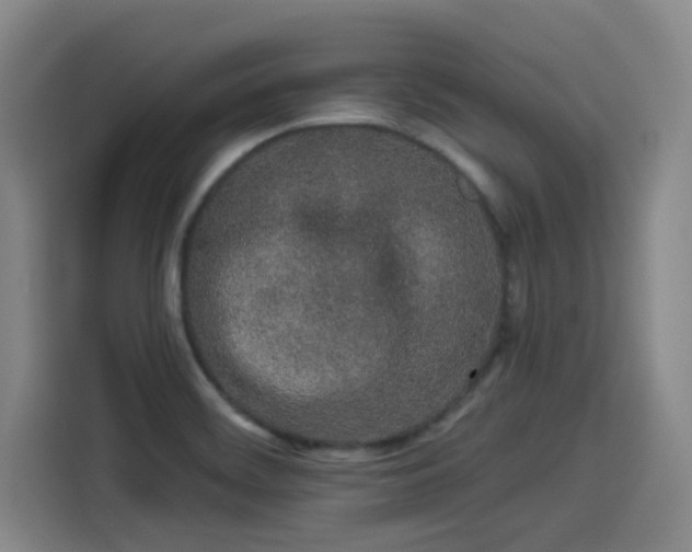 X0000114211468200910161238