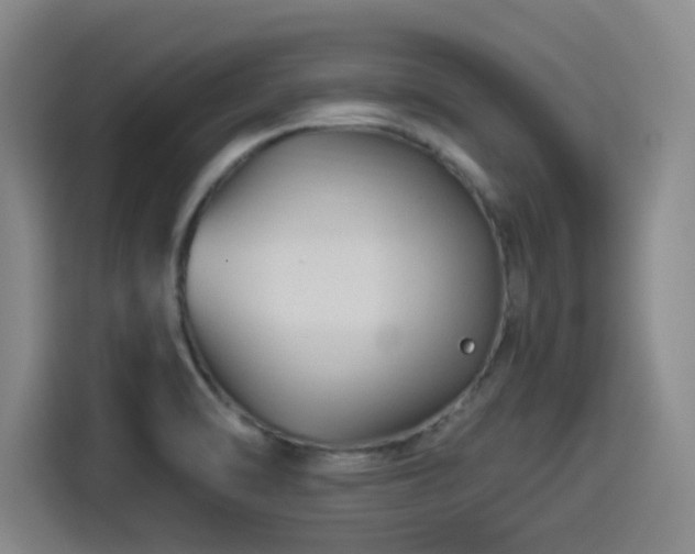 X0000114211470200910161237