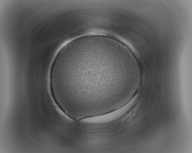 X0000114211471200910161237