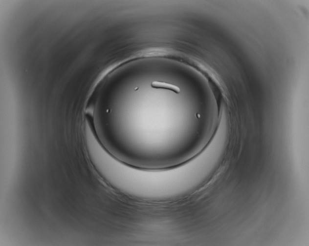 X0000114211473200910161237