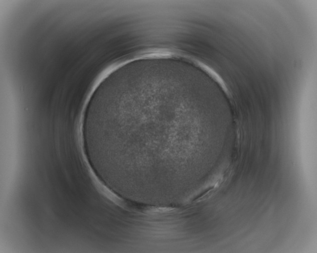 X0000114211475200910161237