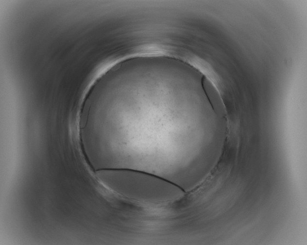 X0000114211477200910161237