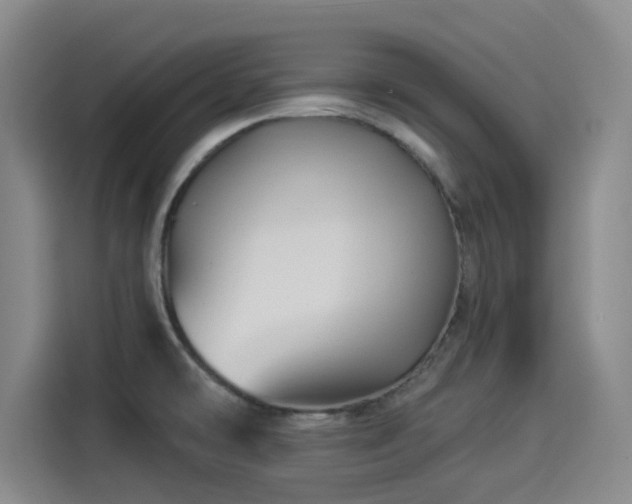 X0000114211478200910161237
