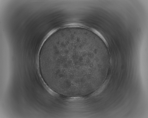X0000114211482200910161237