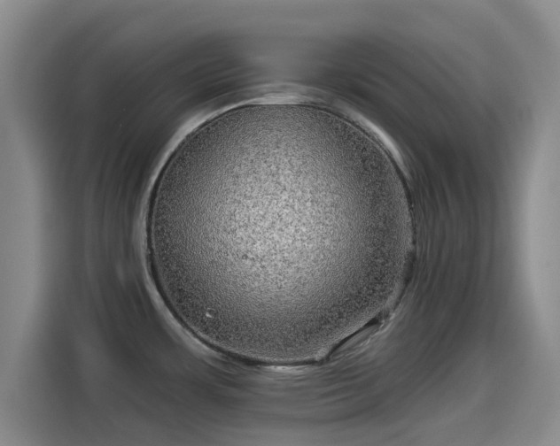 X0000114211483200910161237