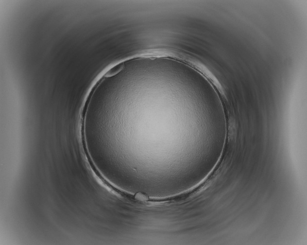 X0000114211484200910161237