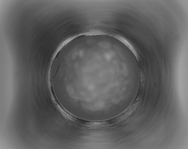 X0000114211485200910161237