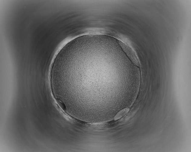 X0000114211488200910161237
