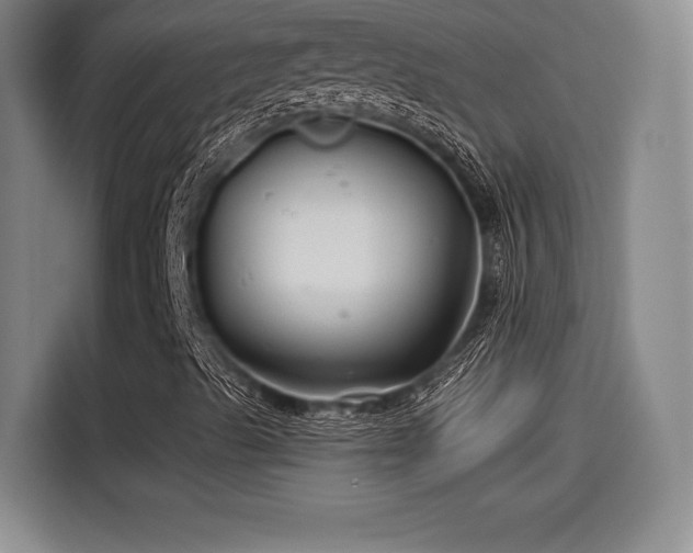 X0000114211489200910161237
