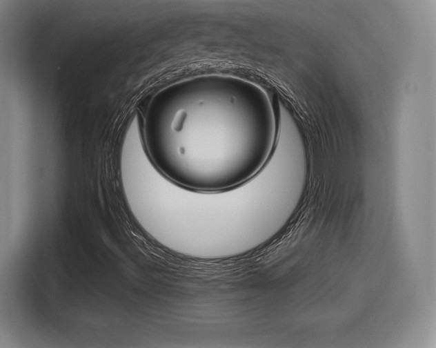 X0000114211492200910161237