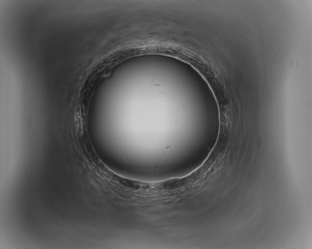 X0000114211493200910161237