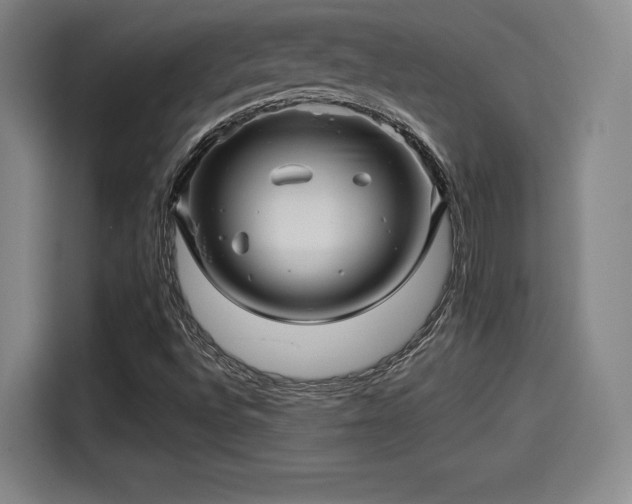 X0000114211496200910161237