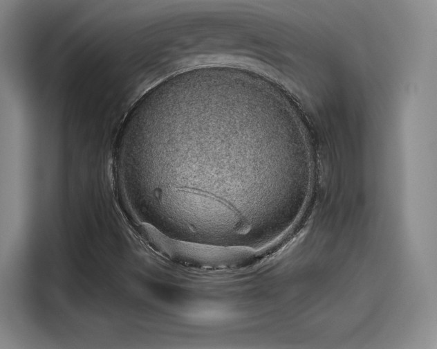 X0000114211497200910161237