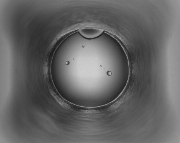 X0000114211499200910161237