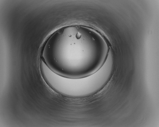 X0000114211500200910161237