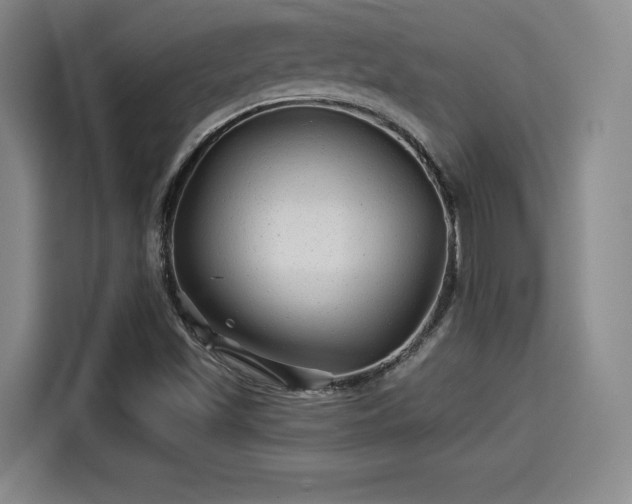 X0000114211501200910161237