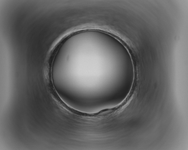 X0000114211502200910161237