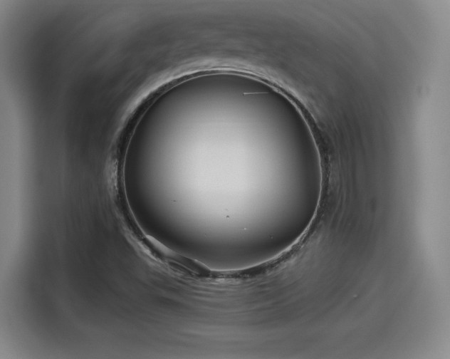 X0000114211503200910161237