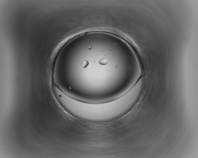 X0000114211504200910161237