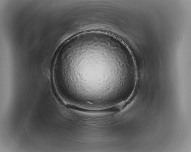 X0000114211505200910161237