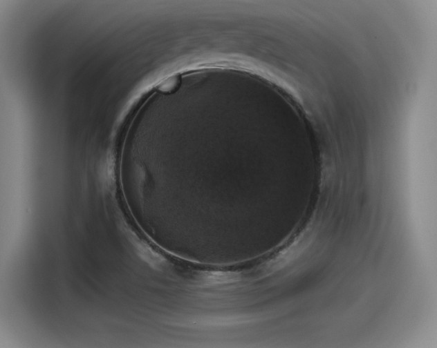 X0000114211506200910161237