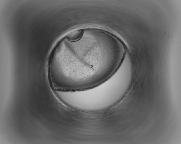 X0000114211508200910161237