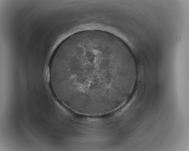 X0000114211509200910161237