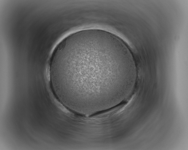 X0000114211510200910161237