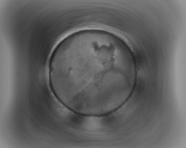 X0000114211514200910161237