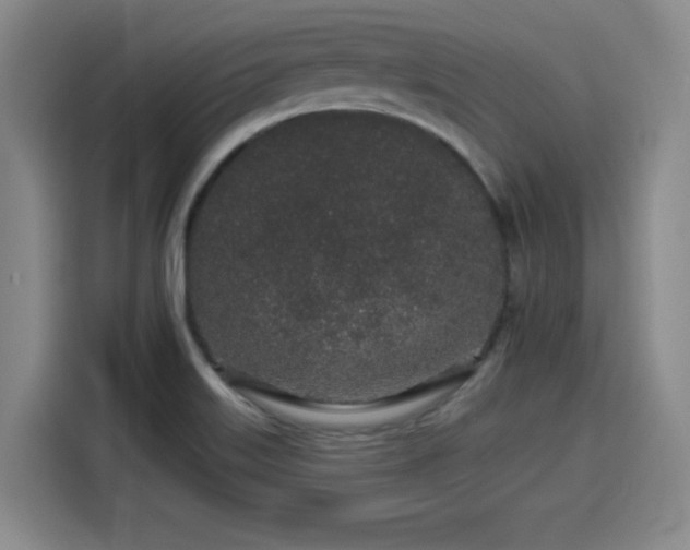 X0000114211515200910161237