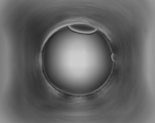 X0000114211516200910161237