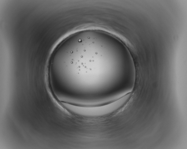 X0000114211518200910161237
