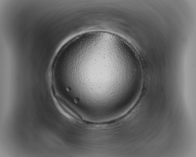 X0000114211519200910161237